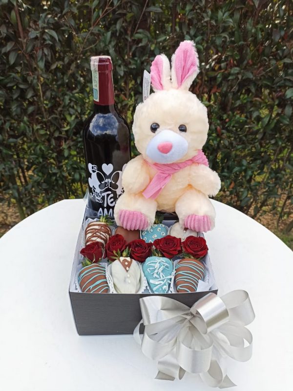 Vino, peluche y fresas R32