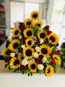 Arreglo de 16 girasoles y 24 rosas de colores R120